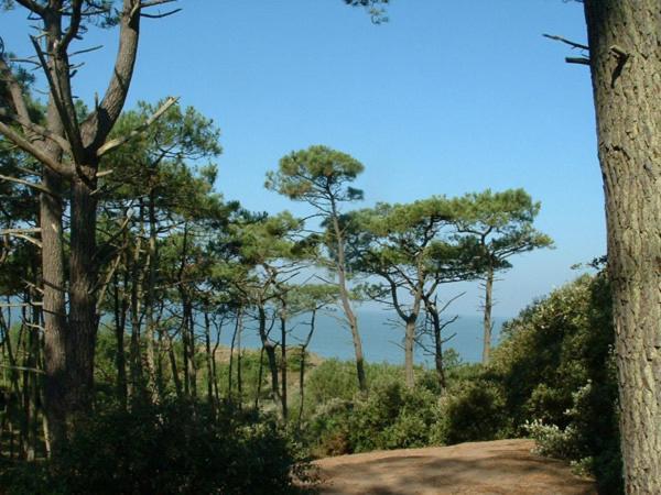 Cottages Du Valcoquet Saint-Brévin-les-Pins Eksteriør bilde